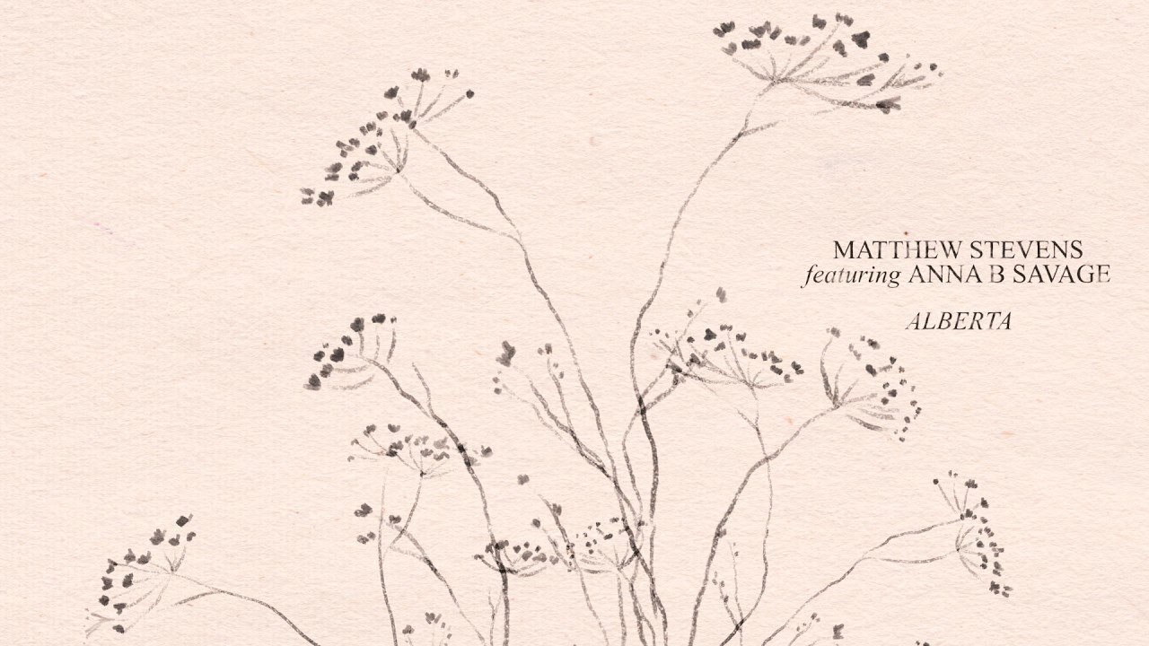 Matthew Stevens | Hazy ft. Josh Johnson | Visualizer