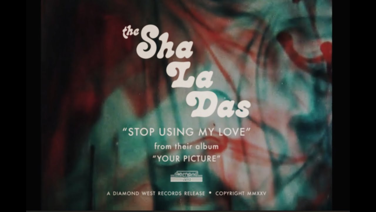 The Sha La Das - Stop Using My Love