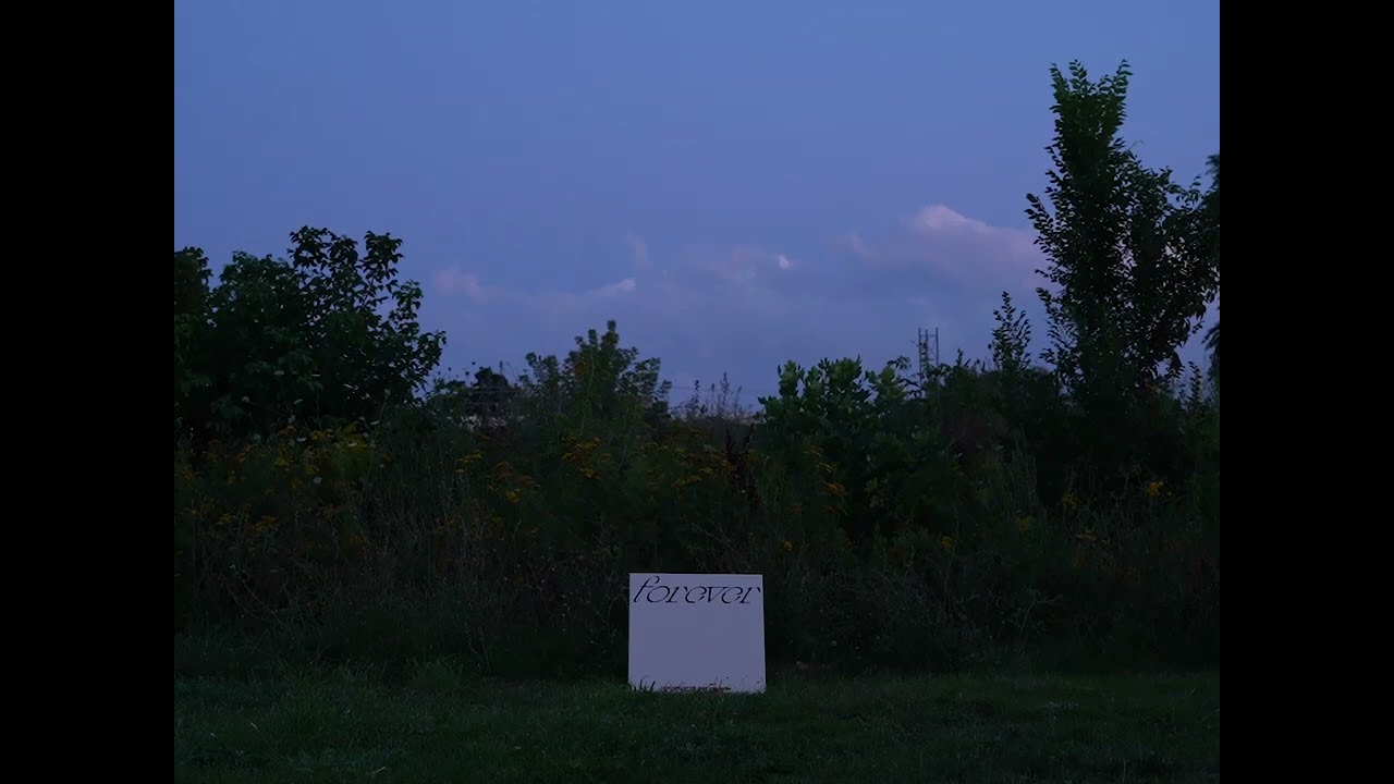 Charlotte Day Wilson ft. Snoh Aalegra - Forever (Visualizer)