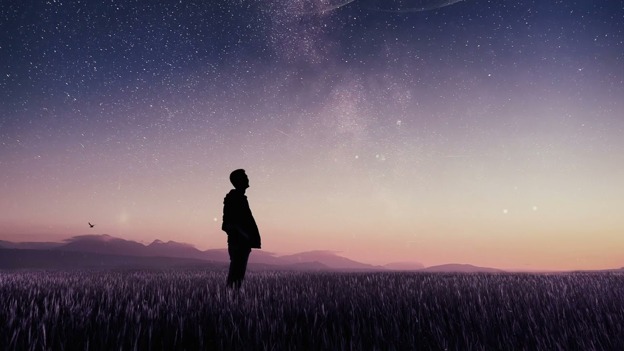 MitiS - Wish You Were Here (feat. Beauty School Dropout)