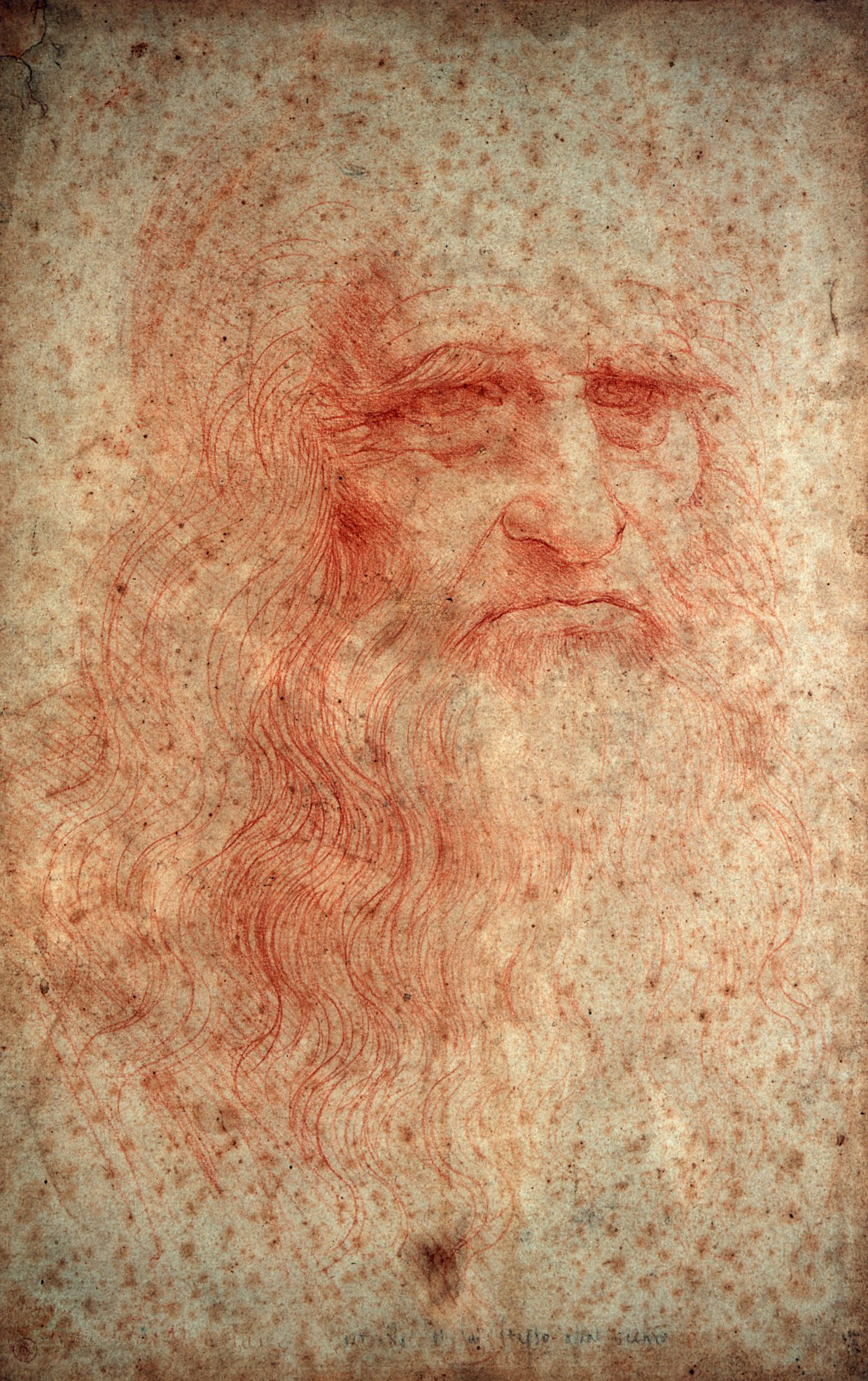 "Portrait of a Man in Red Chalk"