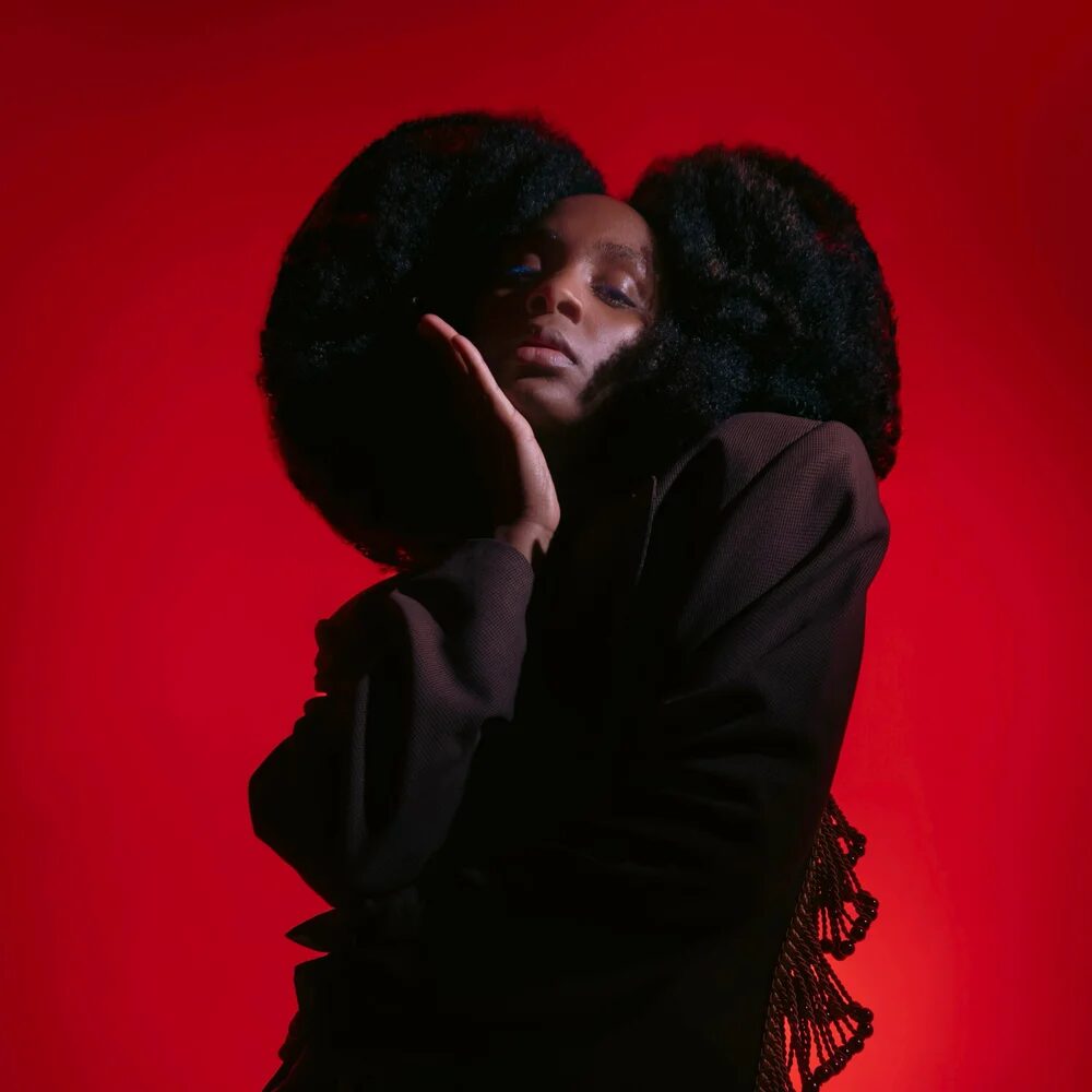 Pan Tèrra: Apple Engineer Turned Artist  Says I “Quit My Job”